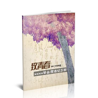 相册制作软件--2016年3月精选毕业聚会纪念册模板{BY42.致青春-竖}样片