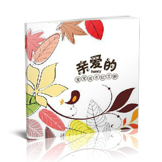 照片书制作软件--2016年9月精品儿童模板{E25.儿童成长档案（二）}