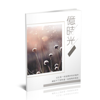相册制作软件--11月精品个性写真相册{XZ4.忆时光}