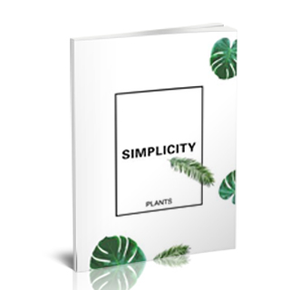 百搭相册模板--2018年12月精品百搭模板{B16.Simplicity}