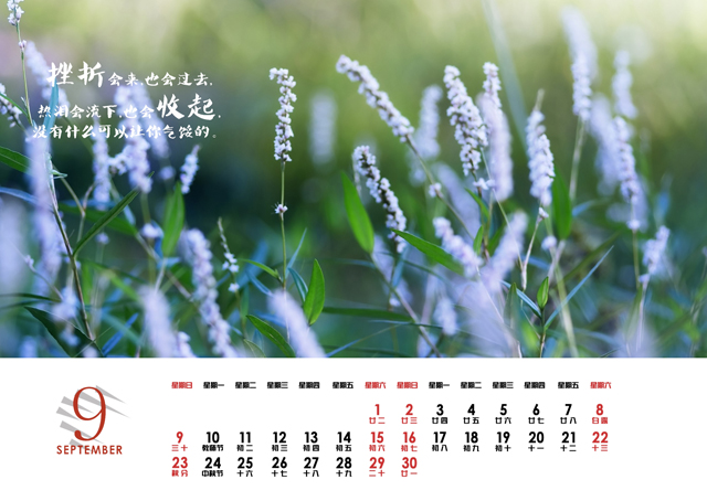 2018年台历模板{T174.风景很好}样片十