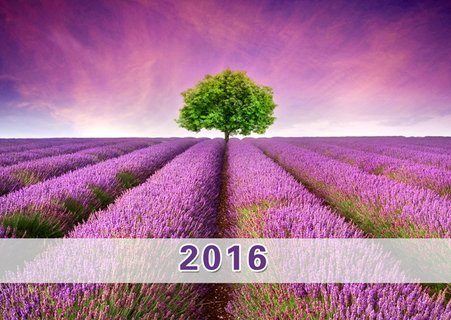 2016年台历模板{T74.薰衣草之恋}样片一