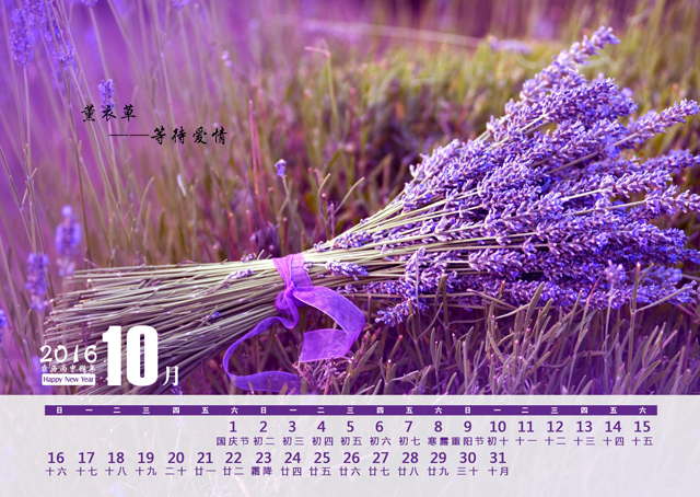 2016年台历模板{T74.薰衣草之恋}样片十一