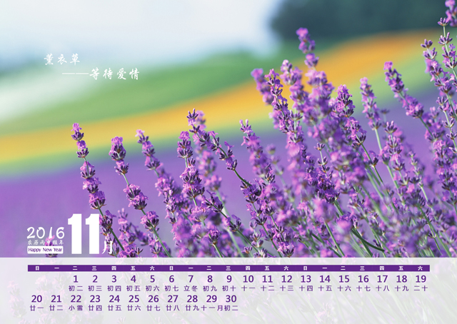 2016年台历模板{T74.薰衣草之恋}样片十二
