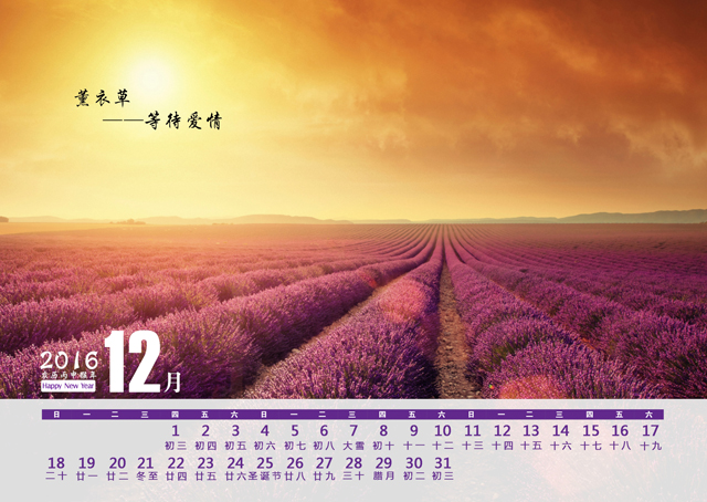 2016年台历模板{T74.薰衣草之恋}样片十三