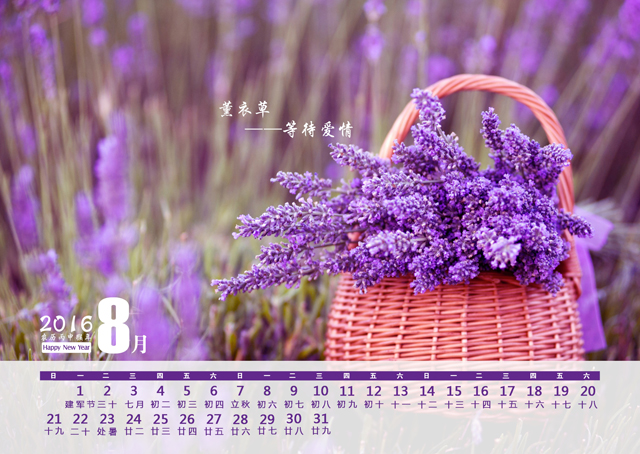 2016年台历模板{T74.薰衣草之恋}样片九