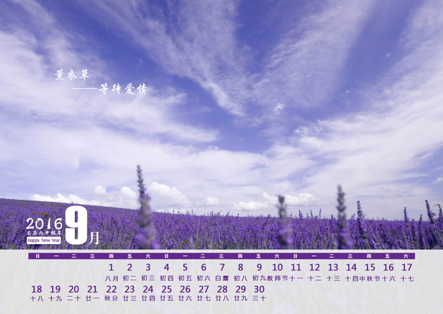 2016年台历模板{T74.薰衣草之恋}样片十
