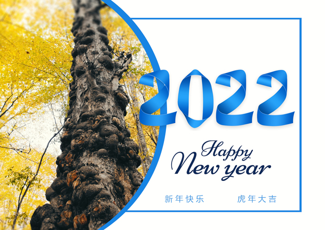 2022台历模板{T219.虎年台历3}样片